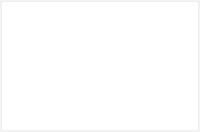 mt-1987-brand-img04.png
