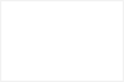 mt-1987-brand-img05.png